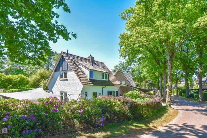 Foto 1 van Driftlaan 14