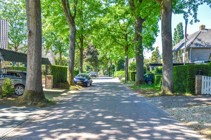 Foto 48 van Driftlaan 14