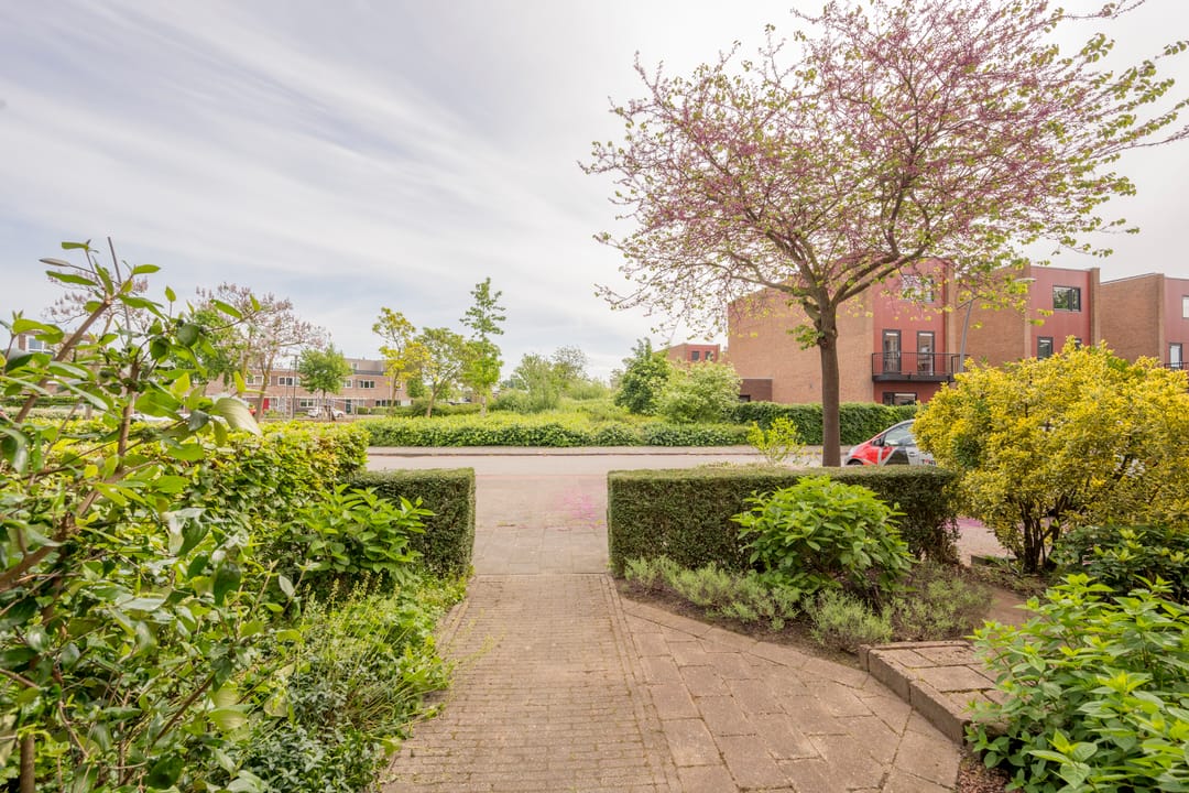 Photo 28 of Kompas 11