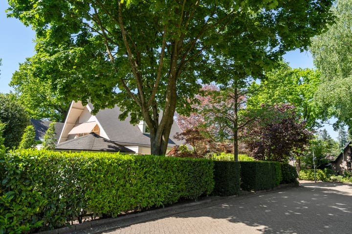 Foto 36 van Molenparkweg Oost 8