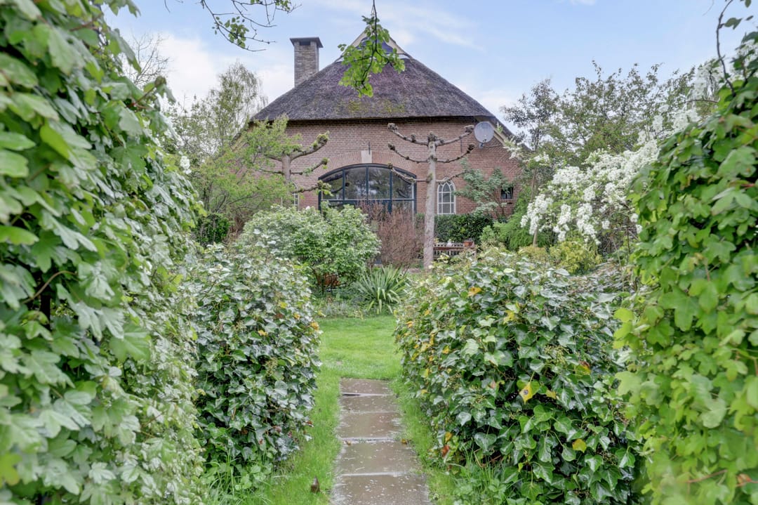 Foto 7 van Bandijk 33