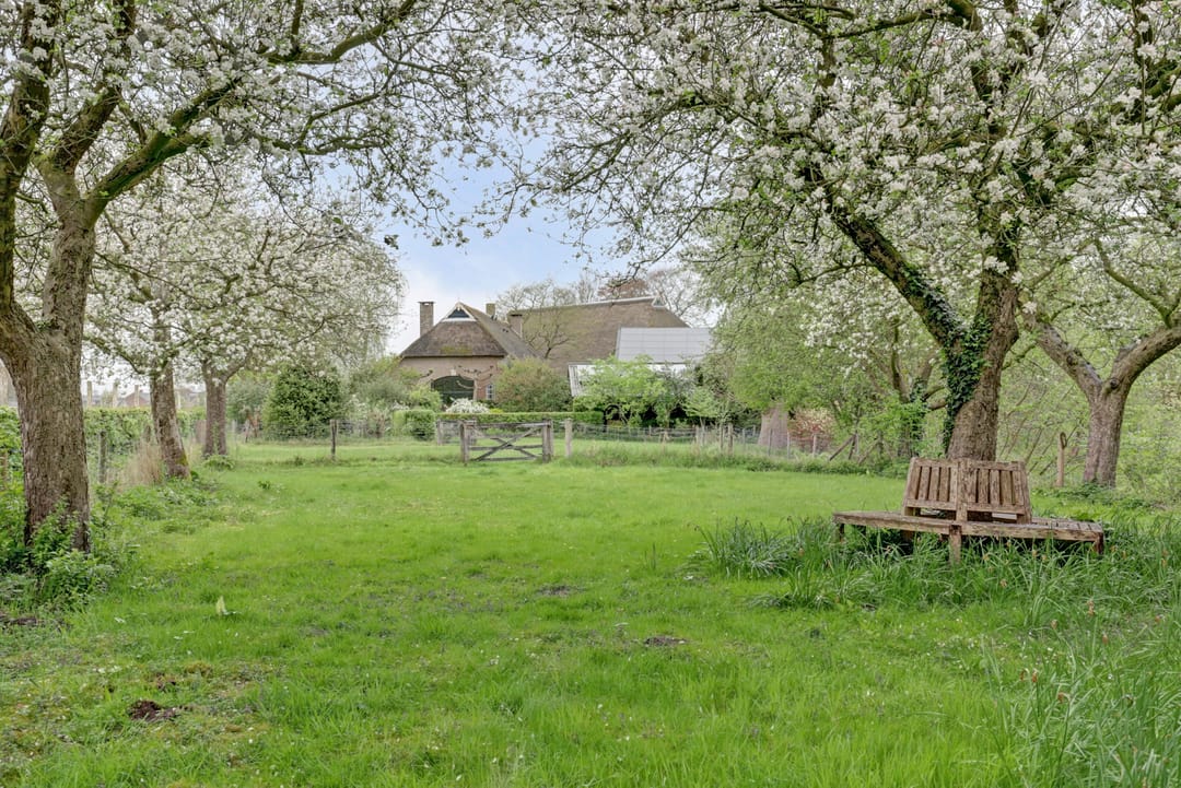 Foto 8 van Bandijk 33