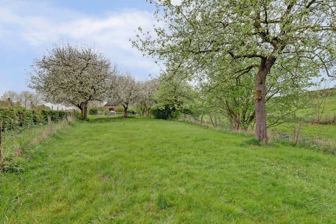 Foto 11 van Bandijk 33