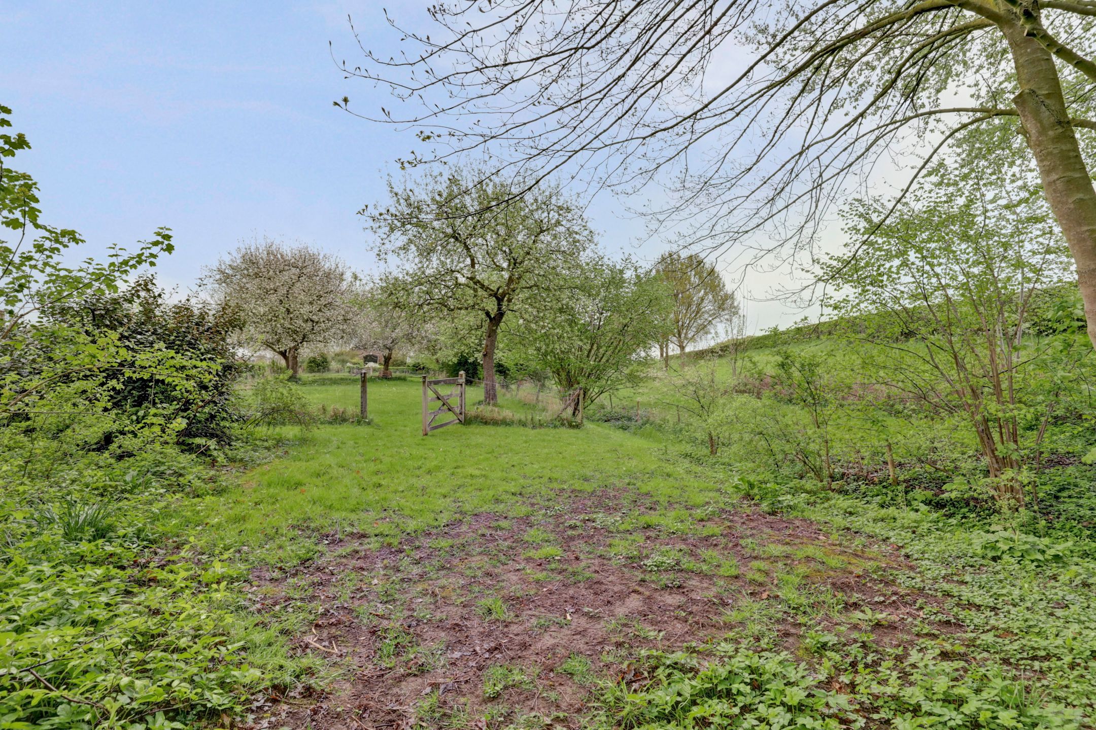 Foto 12 van Bandijk 33