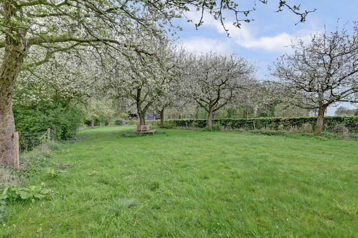 Foto 14 van Bandijk 33