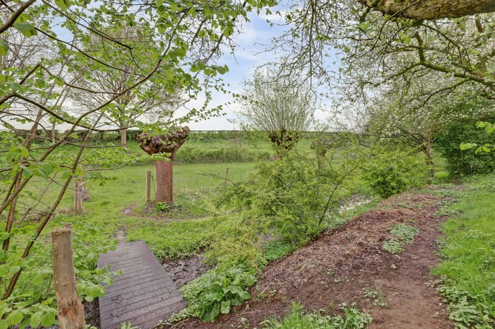 Foto 15 van Bandijk 33