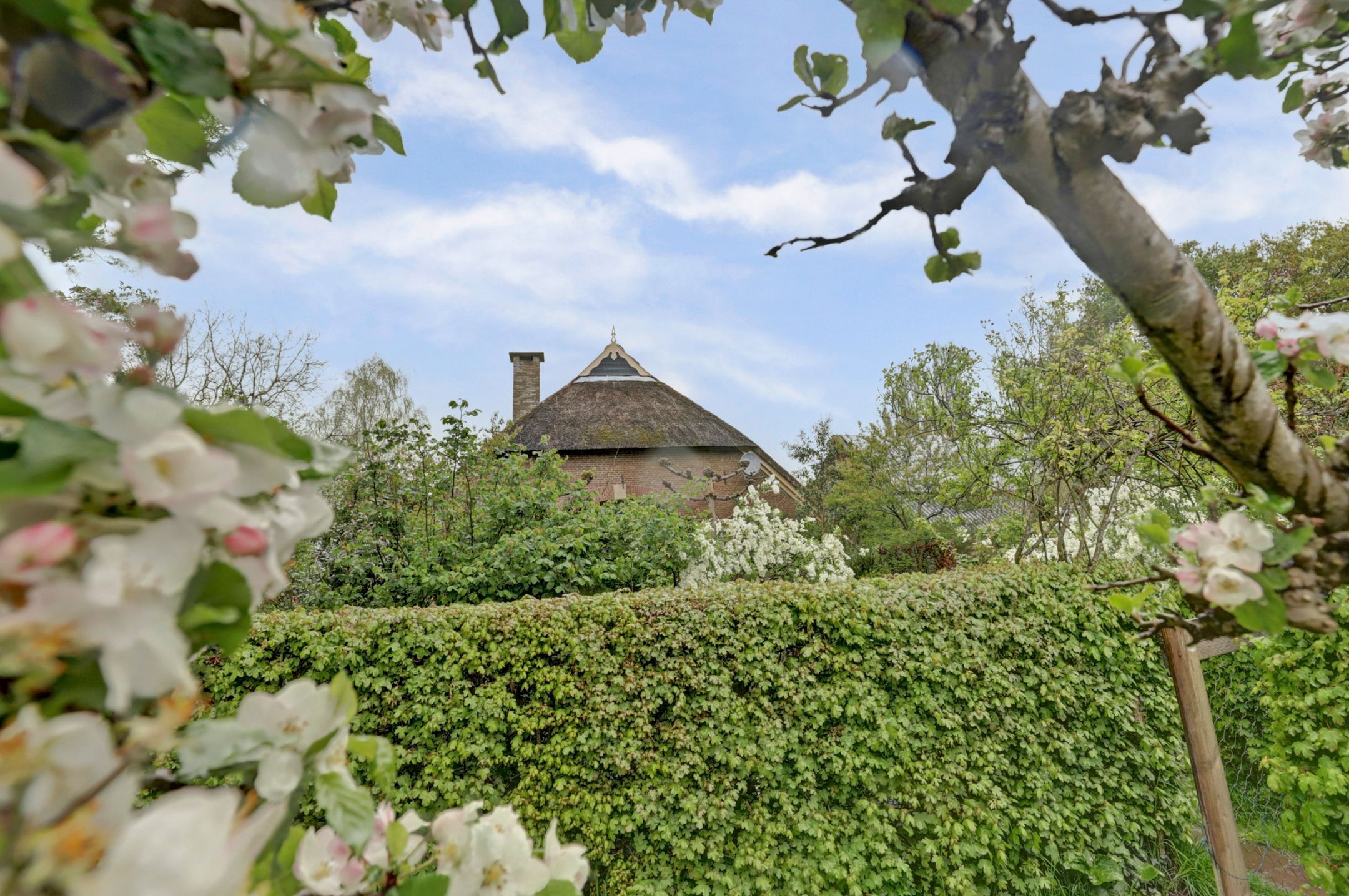 Foto 21 van Bandijk 33