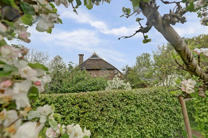 Foto 21 van Bandijk 33