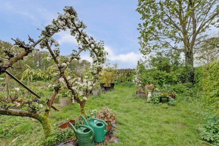 Foto 22 van Bandijk 33