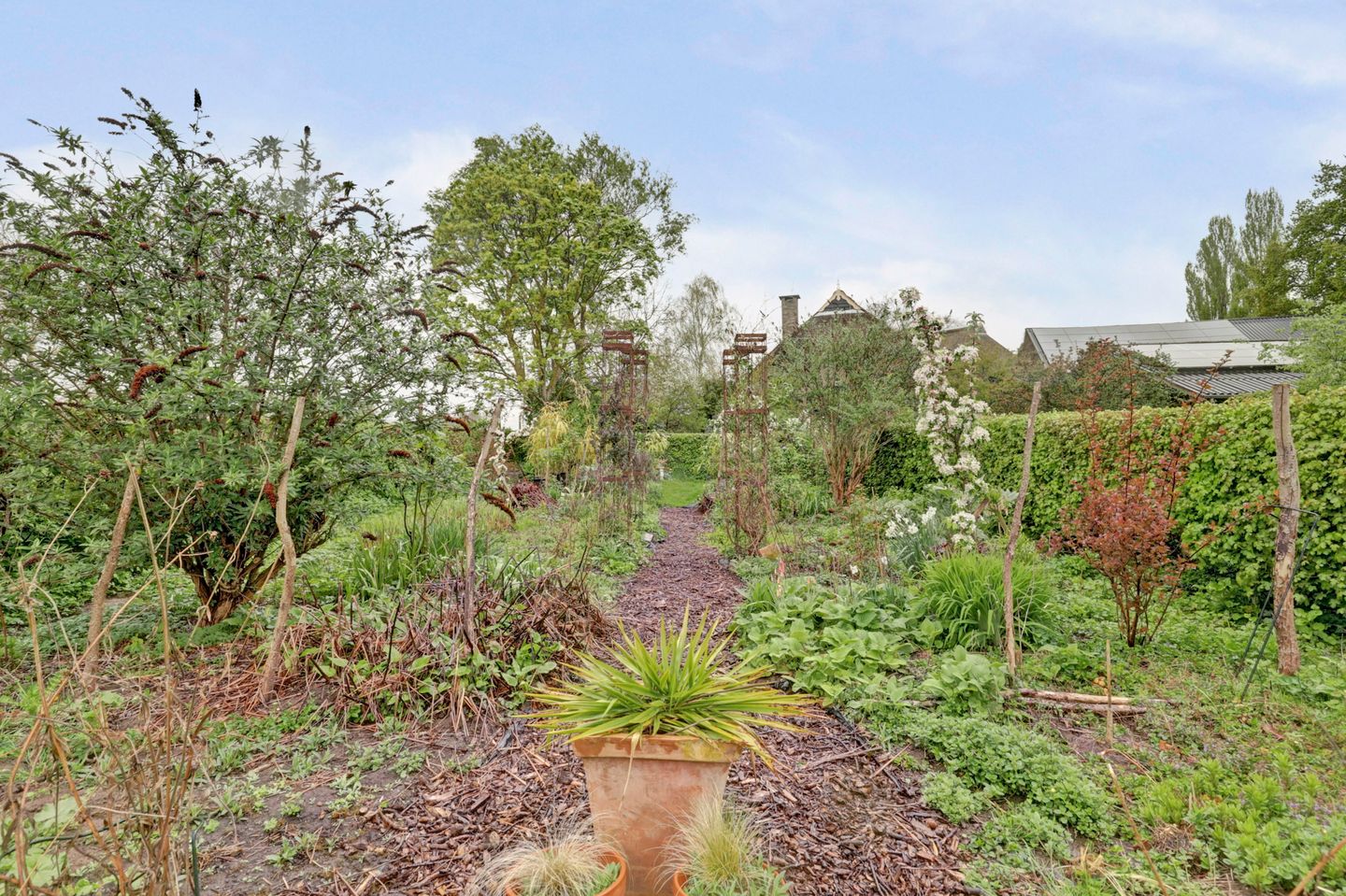 Foto 20 van Bandijk 33