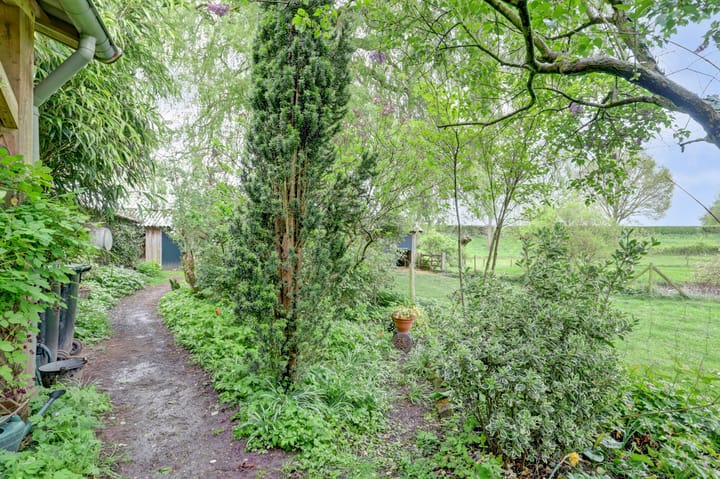 Foto 23 van Bandijk 33