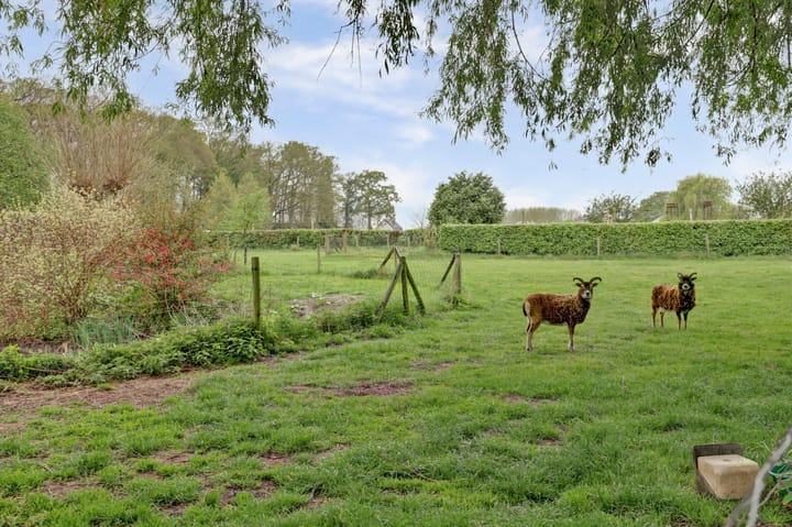 Foto 25 van Bandijk 33