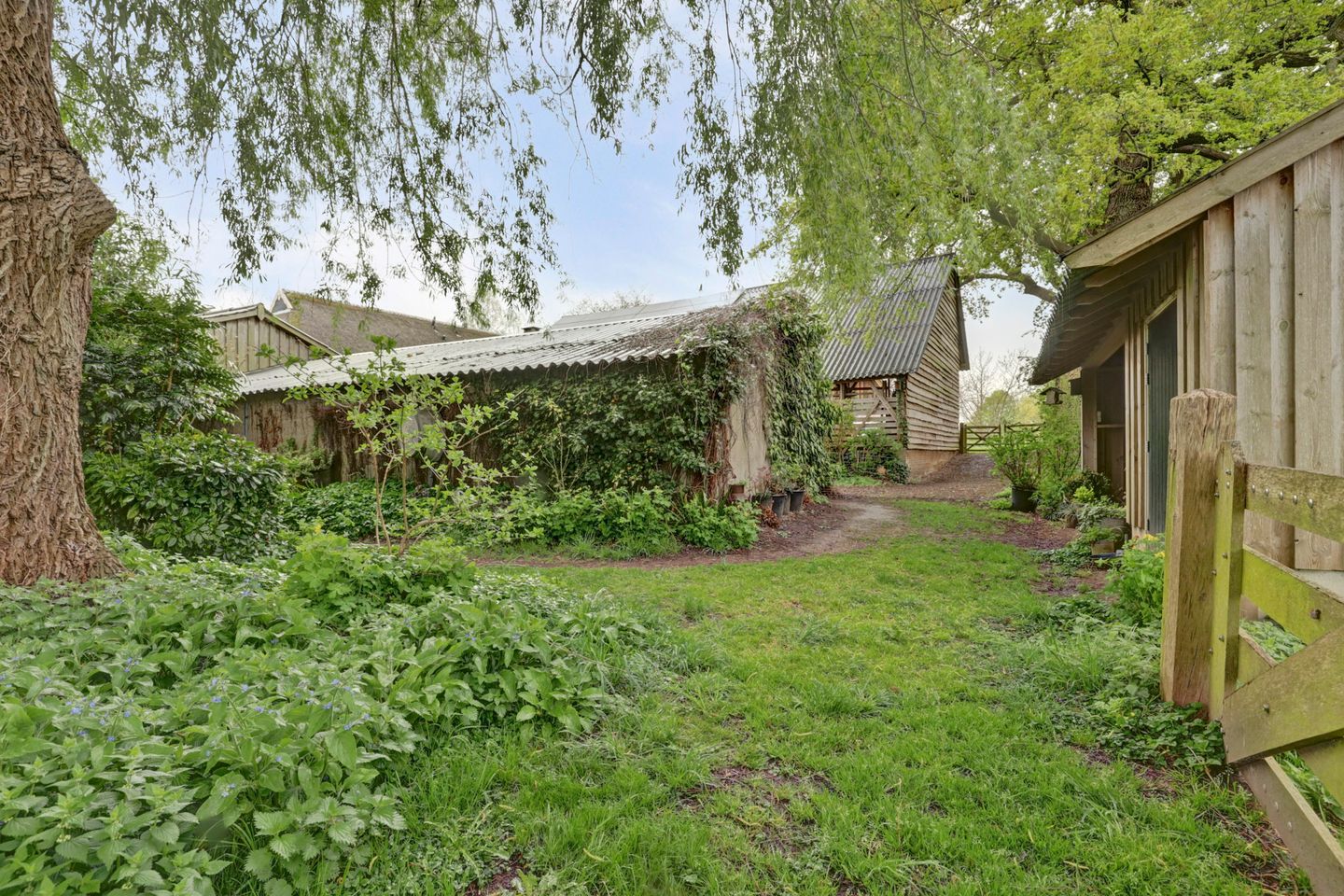 Foto 64 van Bandijk 33