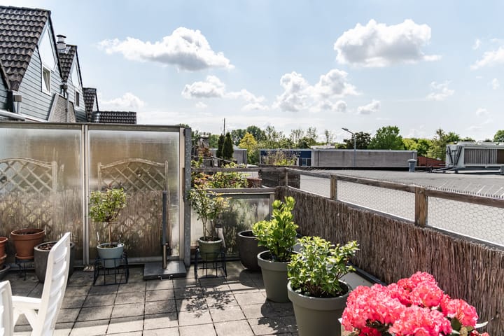 Foto 9 van Skagerrak 262