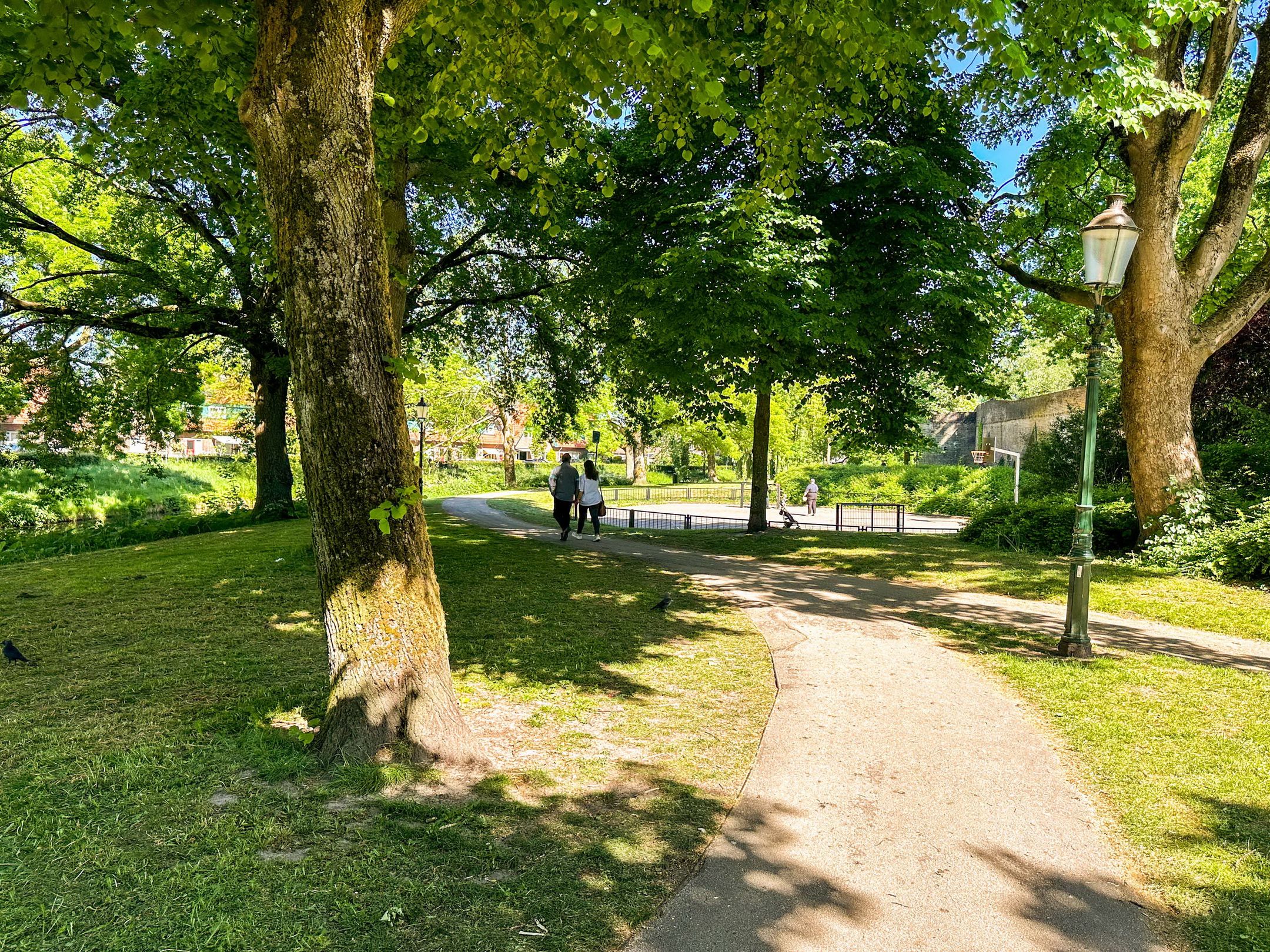 Photo 24 of Sint Annastraat 41