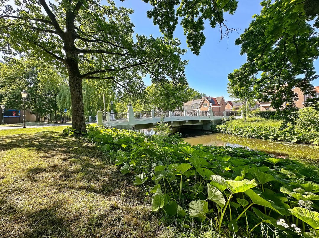 Photo 26 of Sint Annastraat 41