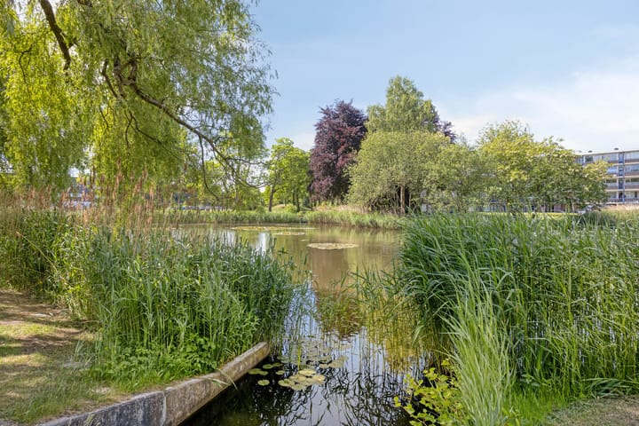 Foto 34 van Commandeurstraat 27