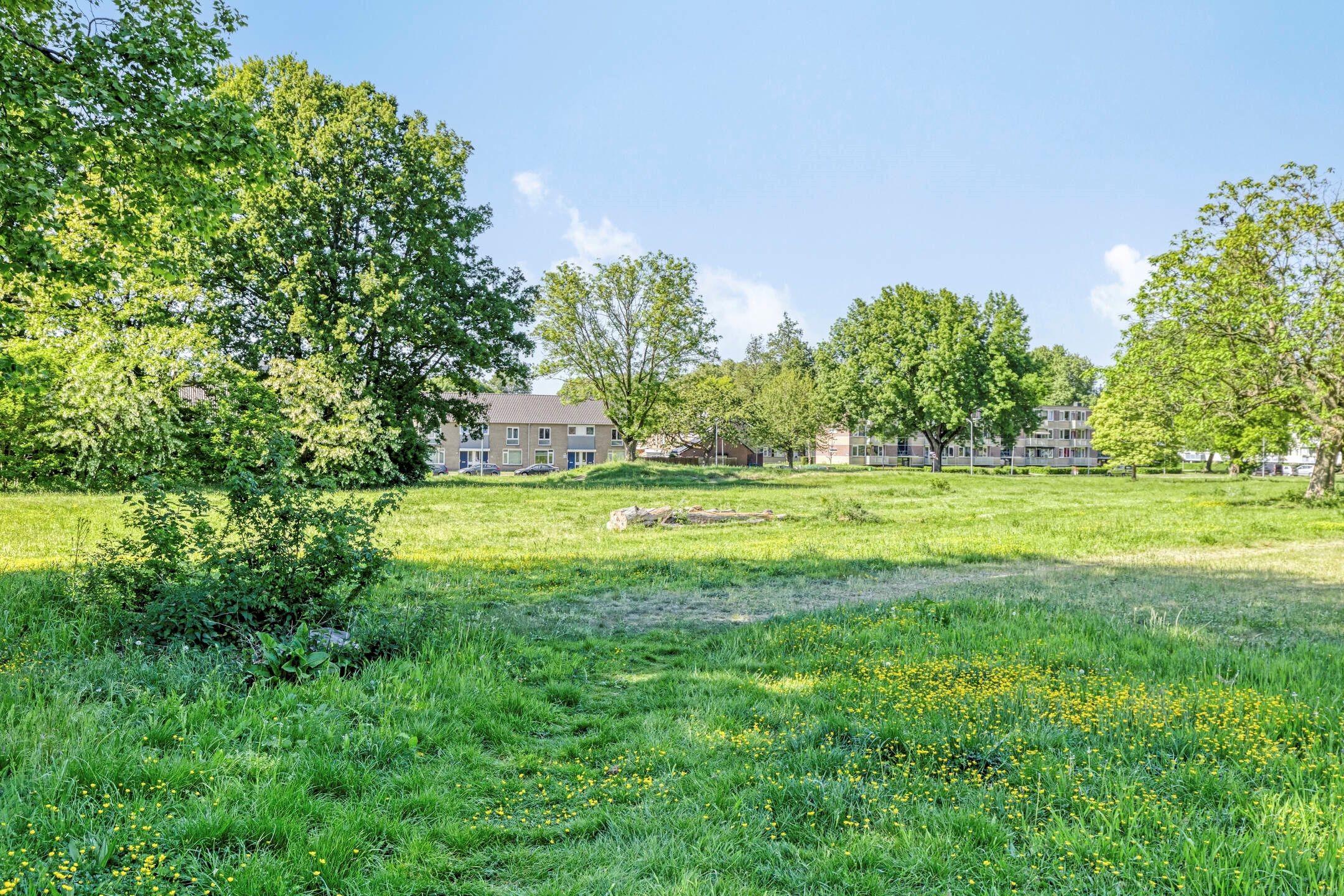 Foto 24 van Reinaartsingel 97