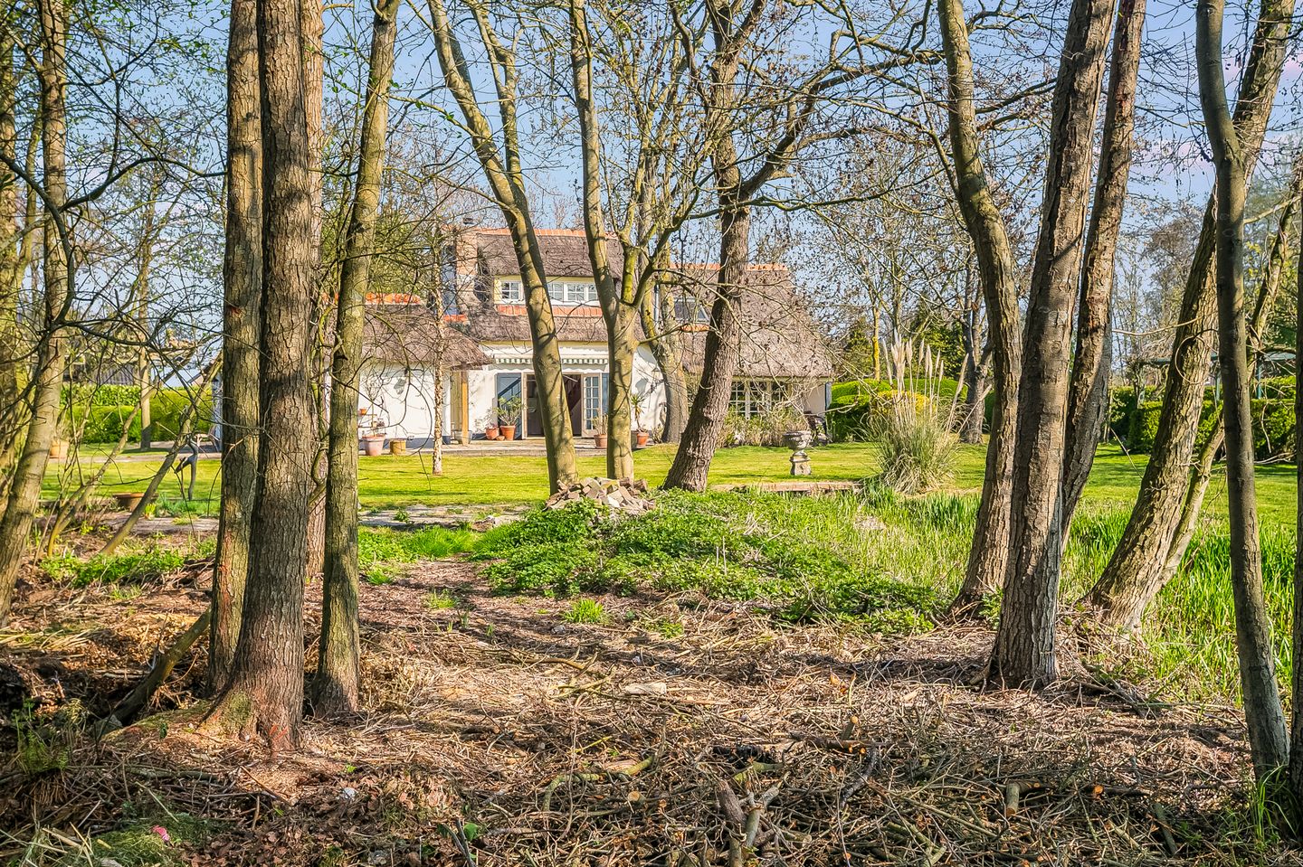 Photo 49 of Nieuw-Loosdrechtsedijk 187