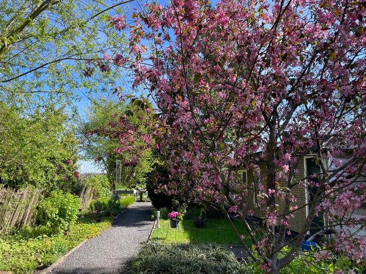 Photo 4 of Vreelandseweg 83