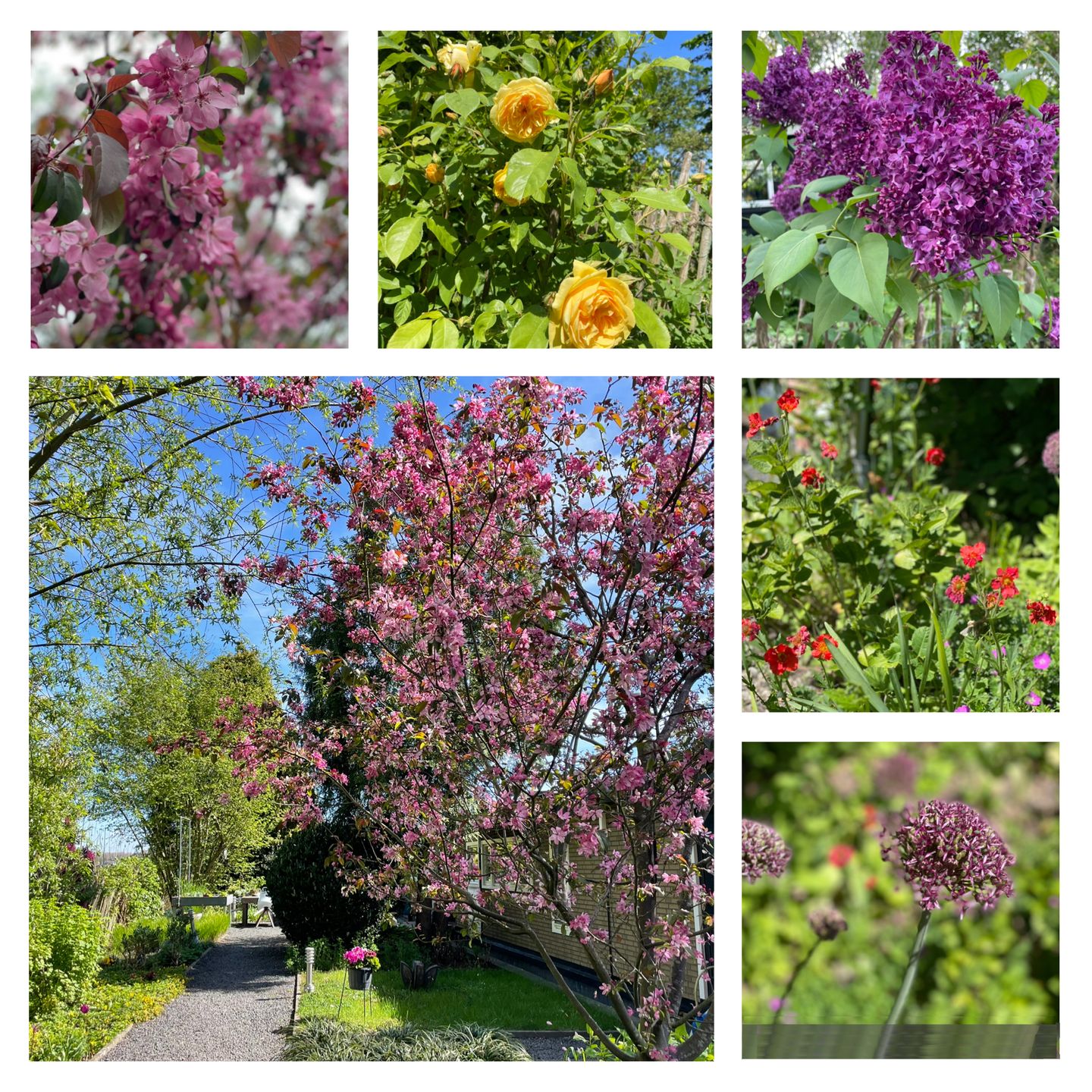 Foto 10 van Vreelandseweg 83