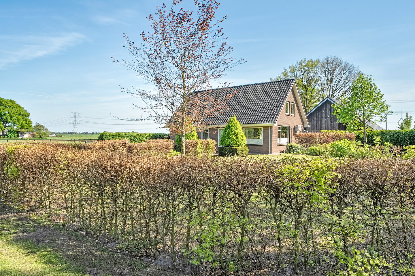 Bekijk foto 4 van Oostwijk 3