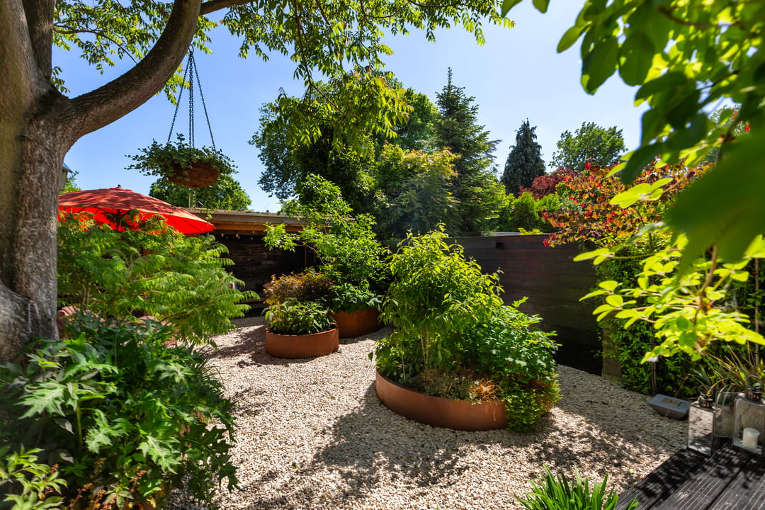 Foto 26 van Theodora Jacobalaan 12