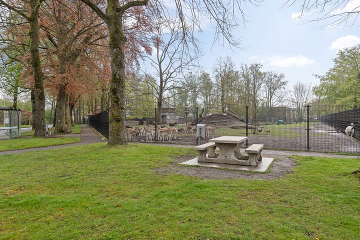 Foto 30 van De Dellen 53