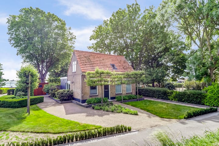 undefined main image