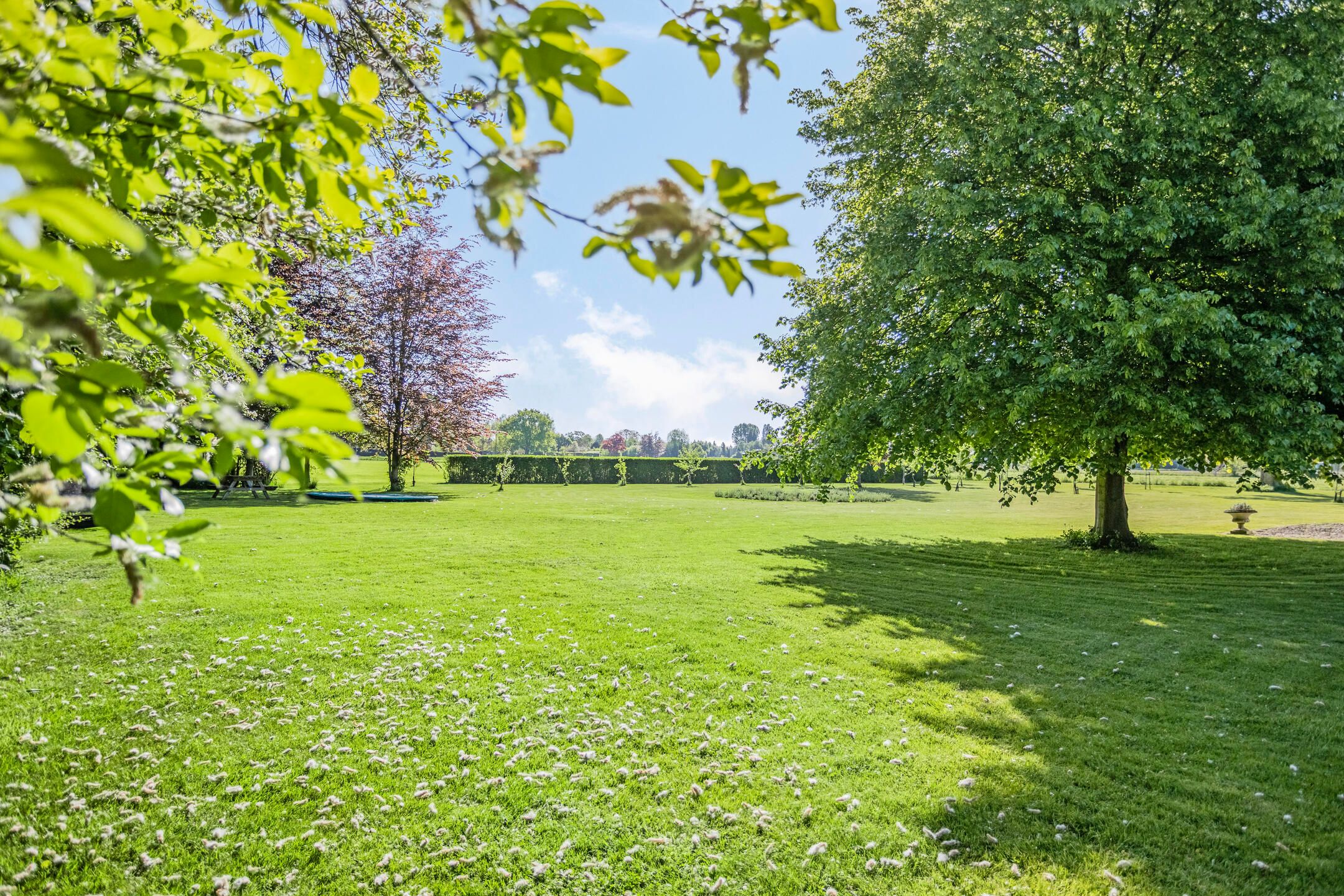 Foto 66 van Twelloseweg 3