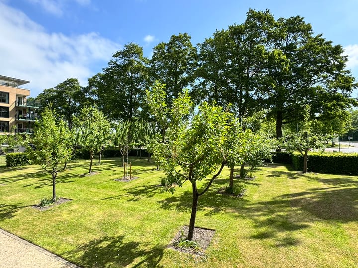 Photo 29 of Het Voert 42