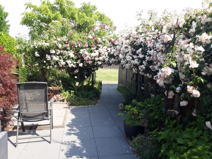 Foto 24 van van Goyenstraat 66