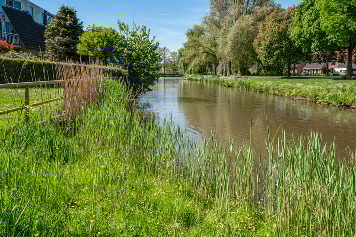 Foto 45 van van Goyenstraat 66