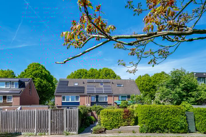 Foto 47 van van Goyenstraat 66