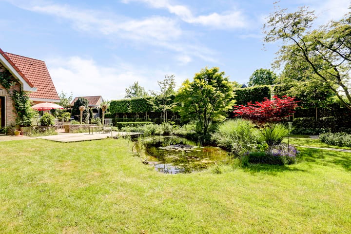 Photo 14 of Fransewegje 1