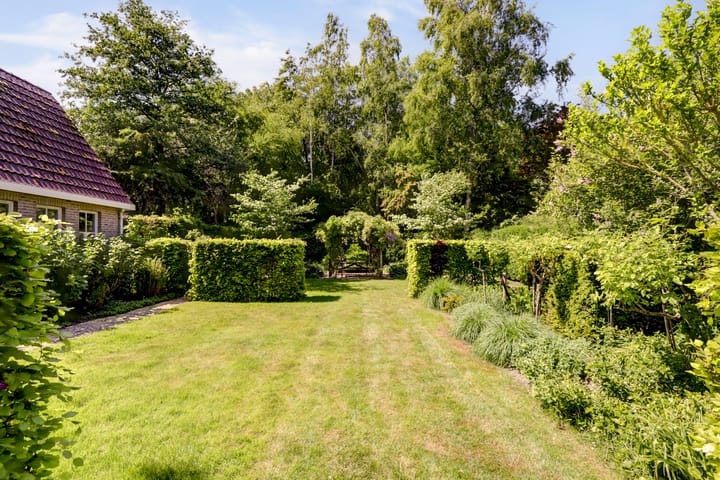 Photo 15 of Fransewegje 1