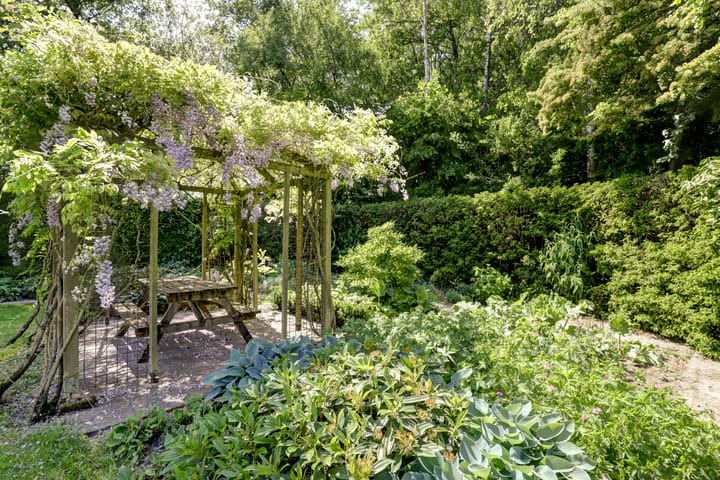 Photo 16 of Fransewegje 1