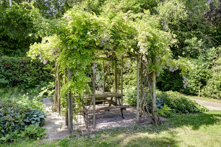 Photo 19 of Fransewegje 1