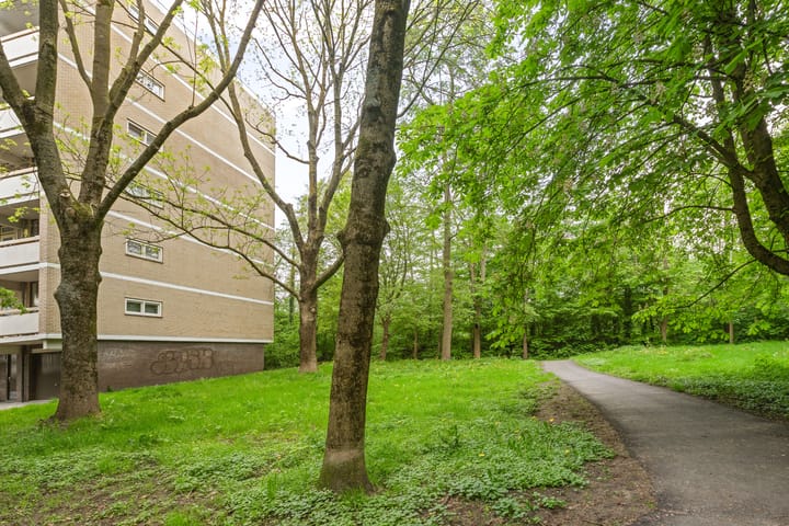 Foto 27 van Planetenlaan 363