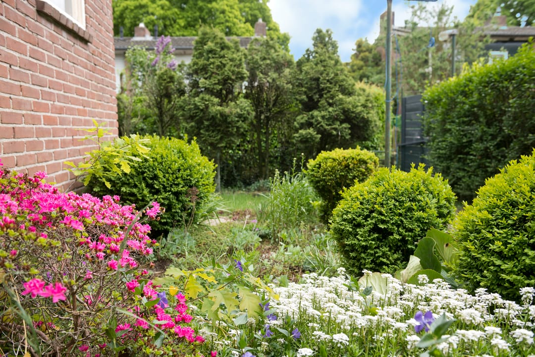 Foto 38 van Vossenstraat 12