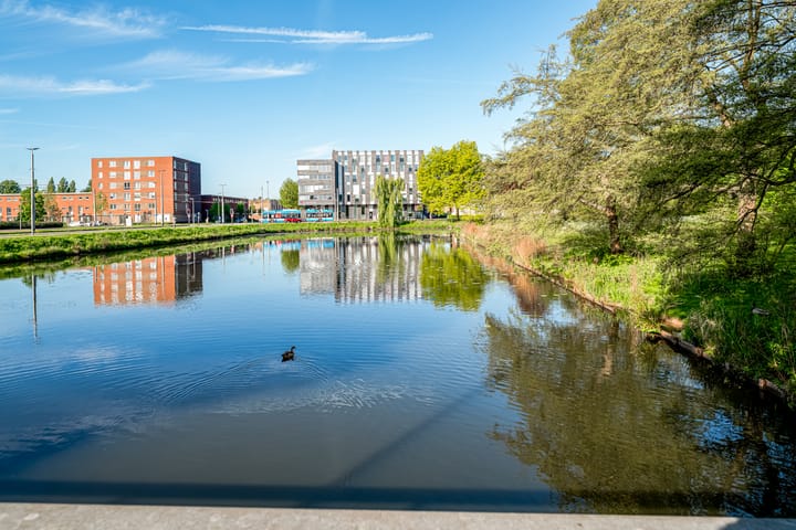 Foto 6 van Hanzestraat 71