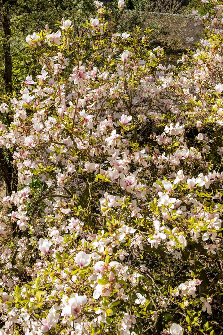 Foto 29 van Frederik Hendrikstraat 122-2