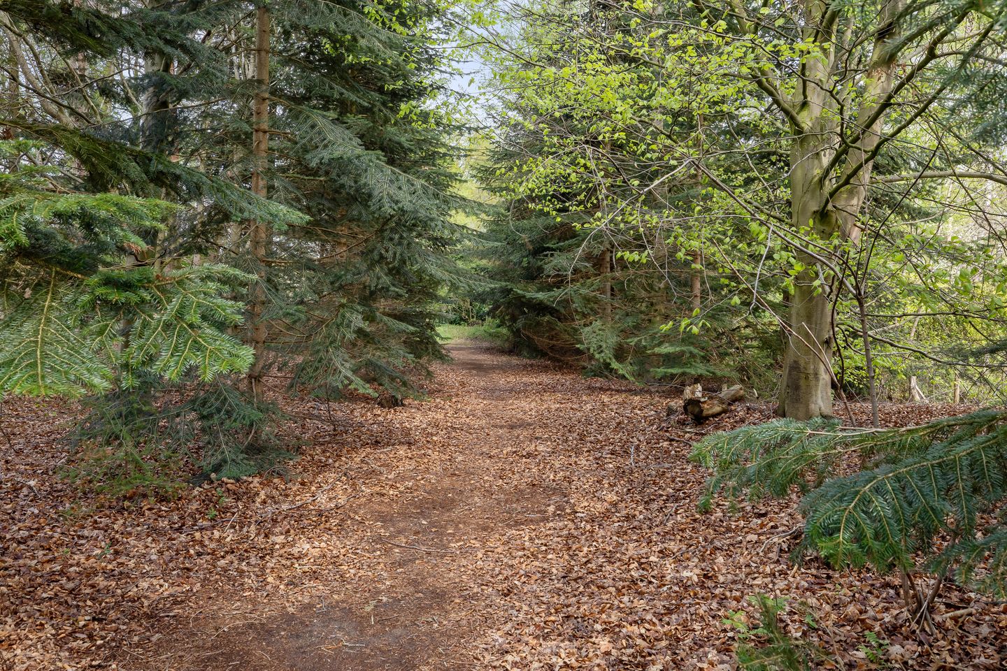 Foto 29 van Oude Hammerweg 12-A091