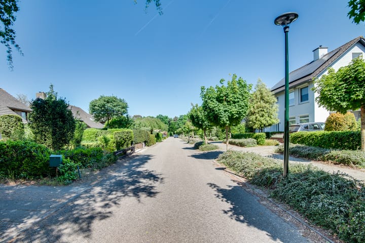 Foto 51 van De Berg 8