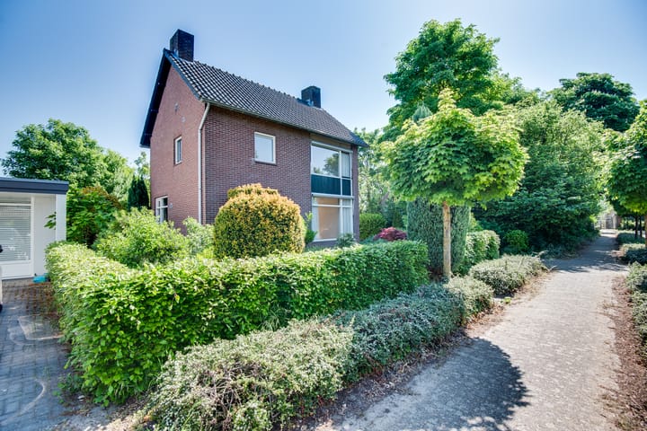 Foto 64 van De Berg 8