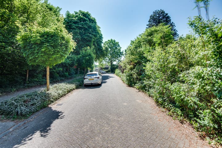 Foto 66 van De Berg 8