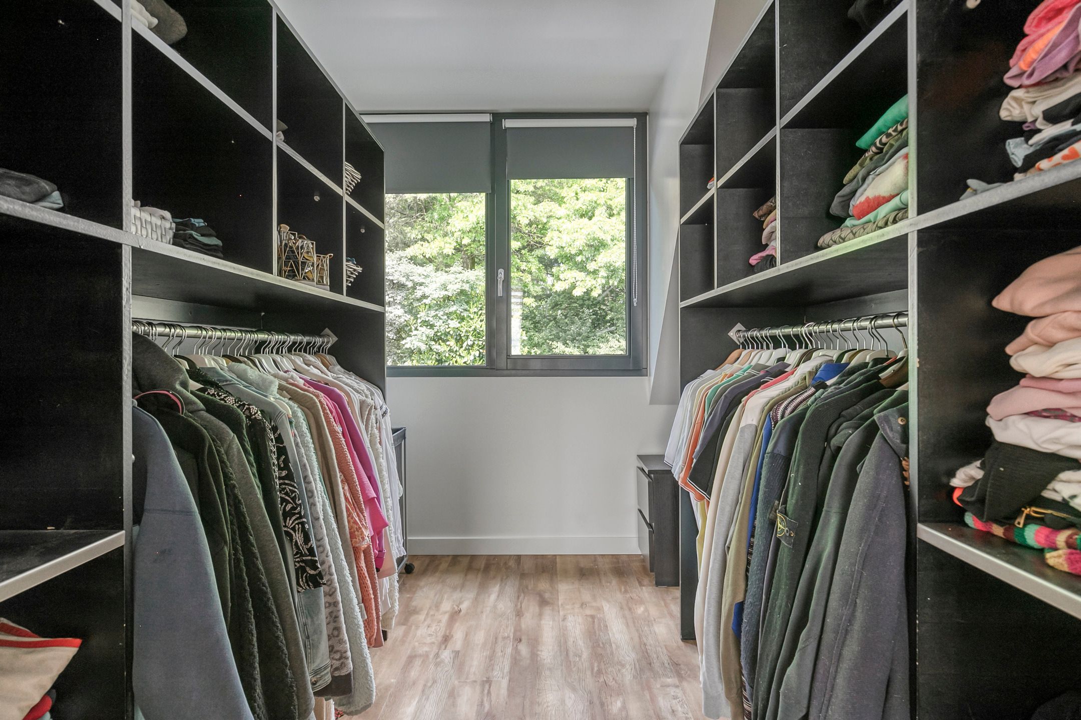 Photo 30 of Weegbree 87