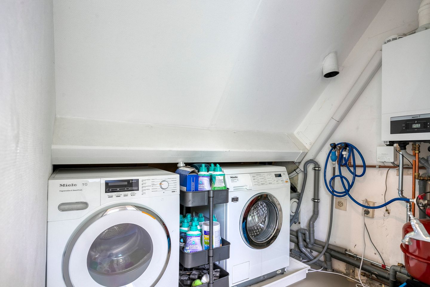 Photo 35 of Weegbree 87