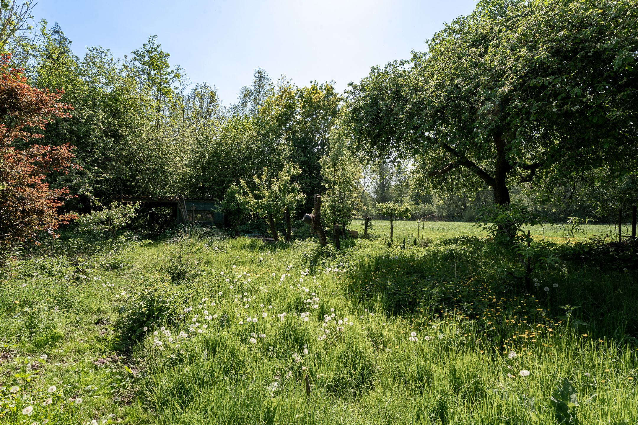 Foto 45 van 't Vaartje 68