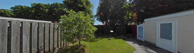 achtertuin